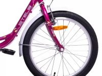 Детский велосипед Stels Pilot 225 V 20 Z010, год 2025, цвет Зеленый