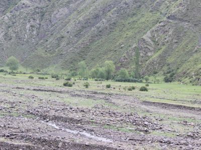 Мельница водяная