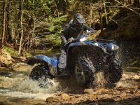 Квадроцикл YAMAHA Grizzly 700 EPS STD (ПСМ)