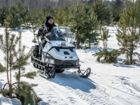 Снегоход БТС Arctic 4Т New Люкс 20 л.с. э/зап , реверс, тормоз, улучшенная подвеска