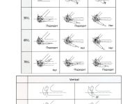 Полный установочный комплект планетарной втулки Shimano Nexus SG-C6001-8D 8 скоростей (комплект)