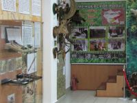 Тюменцевский районный историко-краеведческий музей