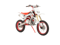 Питбайк MOTOLAND CRF19
