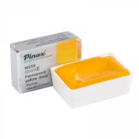 Акварель Pinax кювета 2,5 мл W219 Желтая Темная Стойкая