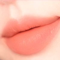 Матовый оттеночный бальзам для губ alternative stereo Acoustic Matt Balm 01 Masala Chai