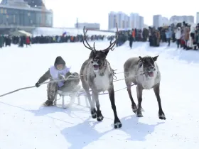 В Якутске после семилетнего перерыва проходят Игры оленеводов