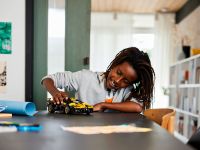 Technic 42151 Конструктор Болид Бугатти