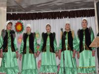 Алькинский сельский дом культуры