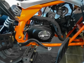 Квадроцикл MOTAX ATV T-Rex LUX 125 cc