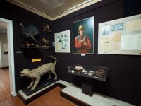 Весьегонский краеведческий музей