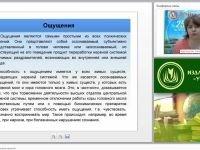 Познавательная деятельность личности