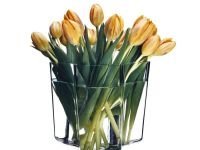 Iittala Ваза 16х19х20 см прозрачная Aalto Iittala