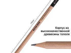 Набор чернографитных карандашей Acmeliae "Cedar" 10 шт, 2B, с держателем-ластиком и точилкой
