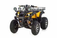 Квадроцикл TIGER Sport 250 (2024)