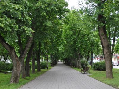 Бульвар по пр. К. Маркса, описанный в произведениях Л.Н. Толстого