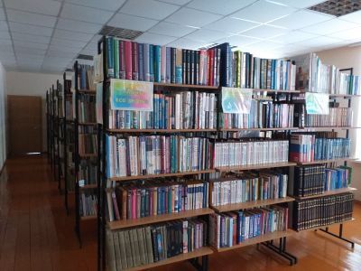 Абзановская модельная библиотека