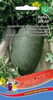 Арбуз Икар (УД) 10 шт цв п