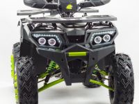 Квадроцикл BISON Track LUX