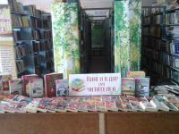 Воскресенская межпоселенческая центральная библиотека