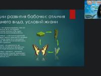 Международный вебинар "Монтессори-педагогика для детей от 3 до 6 лет: основные направления образовательной работы"