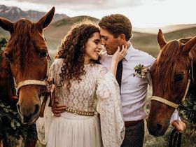 Фотосессия с лошадьми