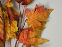 Ветвь Autumn forest II