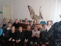 Сектор музейной и краеведческой деятельности г. Шумихи