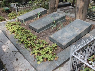 Могилы семьи Чеховых: Чехова Евгения Яковлевна – мать, Чехов Михаил Павлович – брат, Чехова Мария Павловна – сестра