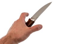 Нож Воронёнок, сталь M398, рукоять айронвуд