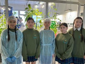 Опытно-экспериментальную теплицу открыли в школе Якутска