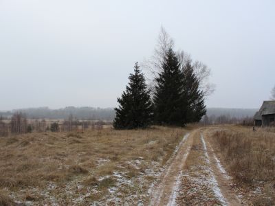 Родина писателя Виктора Кудимова (М.Д.Богомолова)