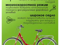 Женский велосипед Stels Legenda 390 28, год 2025, цвет Красный, ростовка 20