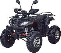 Квадроцикл GRIZZLY 200