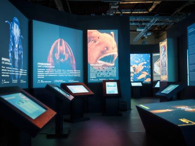 Планета Океан (Исторический парк «Россия — Моя история»)