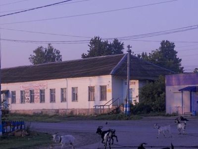 Китовский клуб