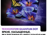 Телевизор Haier DH1VMZD01RU, 55", QLED 4K UHD, 60 Гц, Smart TV (Android TV), серый