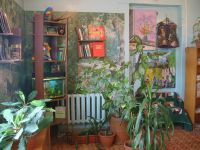 Черновская сельская библиотека