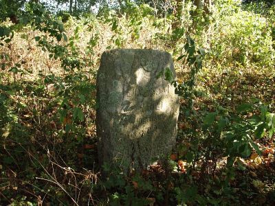 Могила мордовского писателя и журналиста И.З. Антонова (1919-1960 гг.)