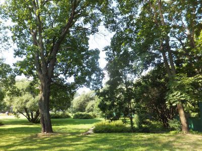 Сад у дома командира завода