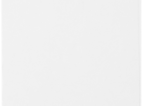 Стекло защитное RedLine