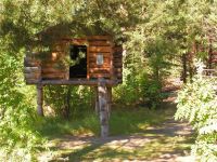 Музей истории и этнографии г. Югорска