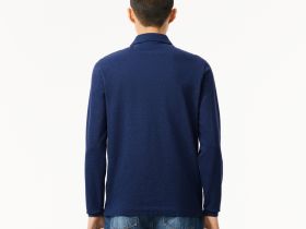 Мужское поло Lacoste с длинными рукавами