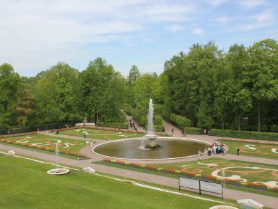 Цветники