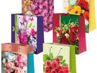 Пакет подарочный ламинированный (в ассортименте) (19х26х9см)