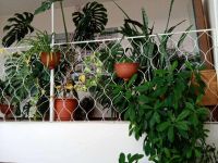 Сельский дом культуры с. Харауз