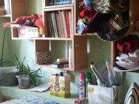 Сарановская библиотека