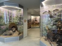 Дом природы г. Череповца