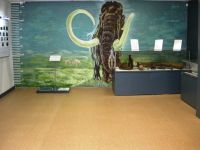 Печорский историко-краеведческий музей