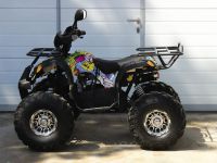 Квадроцикл GRIZZLY Pro 125cc