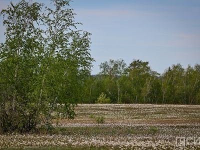 Жители ДФО тратят в среднем почти 11 000 рублей на покупки к летнему сезону